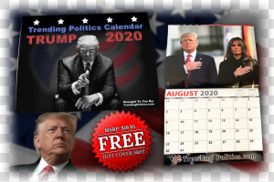 Trending Politics 2020 Calendar  HD Png Download