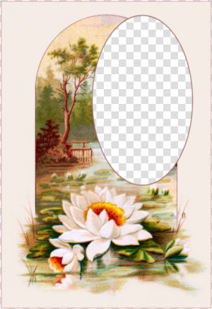 Vintage Postcards Flowers Free Picture  HD Png Download