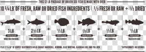 Orijen Six Fish Meatmath Formula And Cat Food Ingredients   Orijen Six Fish Ingredients  HD Png Download