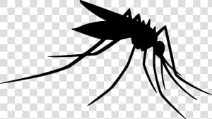 Mosquito Clip Art Insect Silhouette Line Art   Silhouette Mosquito Clip Art  HD Png Download