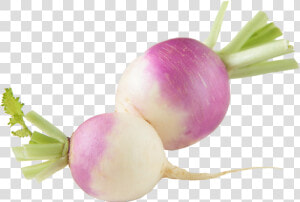 Turnip   Shalgam Ki  HD Png Download