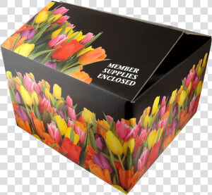 Shipping Box   Full Color Shipping Box  HD Png Download