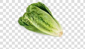 Cabbage   Lettuce Romaine  HD Png Download