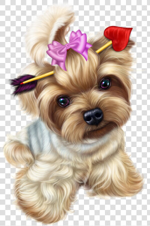 Transparent Yorkie Png Transparent Yorkie   Yorkie Transparent  Png Download