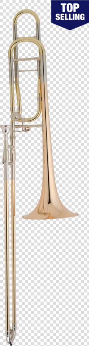 Cg Conn Professional Model 88ho Tenor Trombone   Types Of Trombone  HD Png Download