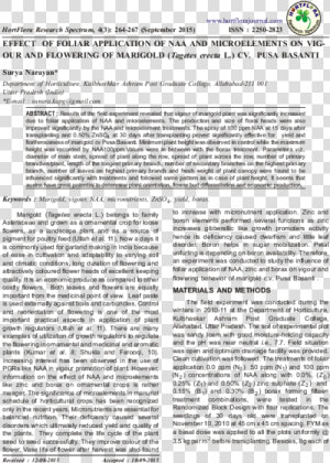 Document  HD Png Download