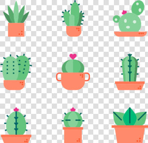 Cactus   Cactus Png  Transparent Png