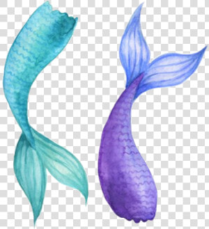  watercolor  mermaidtail  mermaid  tail  teal  purple   Mermaid Tail Watercolor  HD Png Download