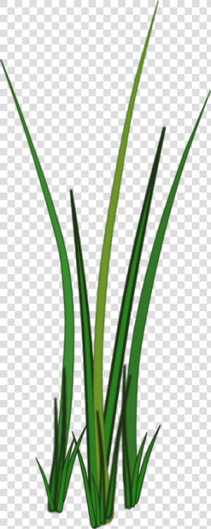 Grass Png Texture   Texture Grass 2d Png  Transparent Png