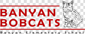 Banyan Elementary School   Domestic Short haired Cat  HD Png Download