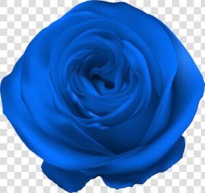 Blue Rose Png Clip Artu200b Gallery Yopriceville   Transparent Purple Rose Png  Png Download