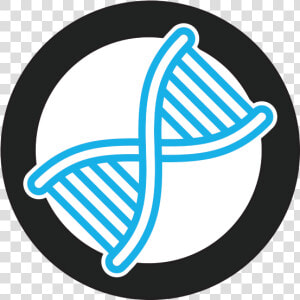 Dna Helix Icon  HD Png Download