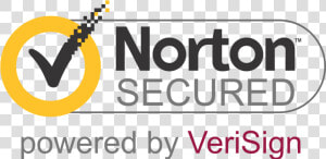 Arbys Logo Transparent   Norton Secured Logo Png  Png Download