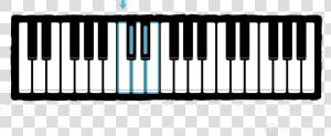 A Single Group Of 2 Black Keys Color Coded With Its   Keyboard Notes In 3 Octaves  HD Png Download