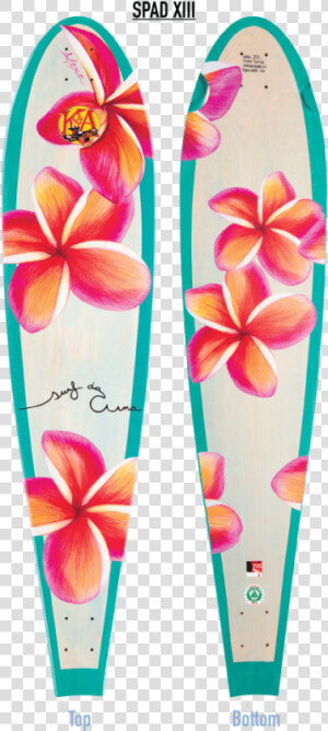 Transparent Plumeria Flower Png   Surfboard With Plumeria  Png Download