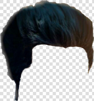 Hair Png  Hair Png Cb  Picsart Hair Png  Cb Hair Png    Crow  Transparent Png