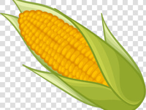 Corn Clipart Yellow Item   Transparent Background Corn Clipart  HD Png Download