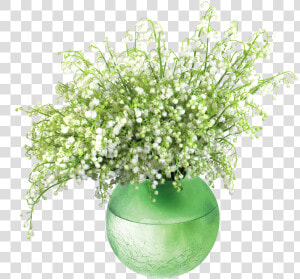 Lily Of The Valleyin Vase Png Clip Art Image   Flower Vase Png Cli  Transparent Png