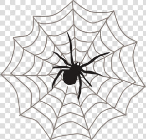 Spider Web Black Arachnid Free Picture   Spider On Web Clipart  HD Png Download