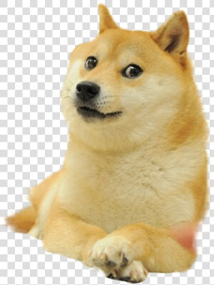 Doge Cutout  HD Png Download