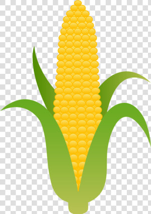 Corn Clipart Aztec Clip Art Of Free Transparent Png   Corn Clipart  Png Download