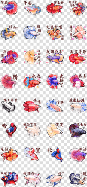 I Love Beta Fish daily   Sticker  HD Png Download