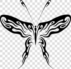 Abstract Butterfly Line Drawing Clipart   Png Download   Butterfly Line Art Png  Transparent Png