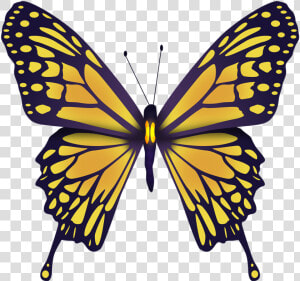 Yellow Butterfly  Butterfly  Nature  Wings  Beautiful   Motyl Abeona  HD Png Download