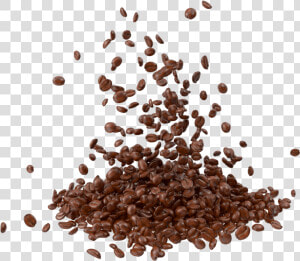 Png Coffee Beans  coffee Beans   Coffee Beans Illustration Png  Transparent Png