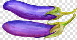 Svg Freeuse Library Vegetable Illustration Hand Painted  HD Png Download