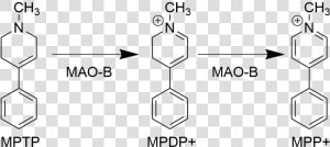 Mpp Biosynthesis Pathway   Mptp Mpp   HD Png Download