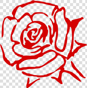 Rose Family Flower China Rose Garden Roses Cabbage   Red Rose Outline Png  Transparent Png