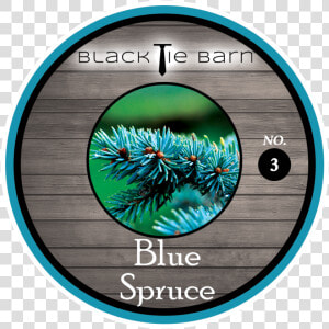 Blue Spruce  HD Png Download