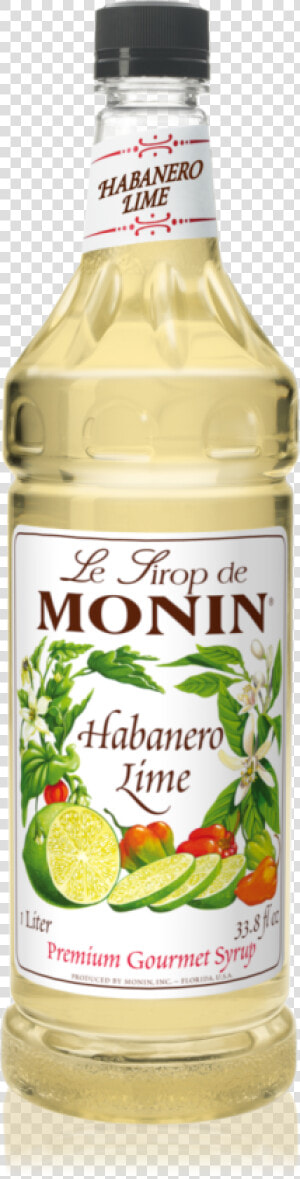 Monin Vanilla Syrup 1l  HD Png Download