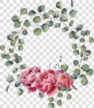 Eucalyptus Floral Wreath Png  Transparent Png