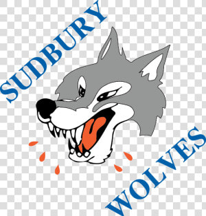 Sudbury Wolves Logo  HD Png Download