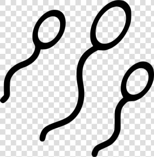 Sperm Baby Making Pregnancy Sexual Adult Reproduction   Sperm Transparent  HD Png Download