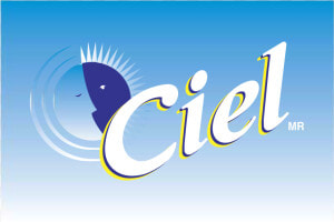 Ciel Logo Png Transparent   Ciel  Png Download