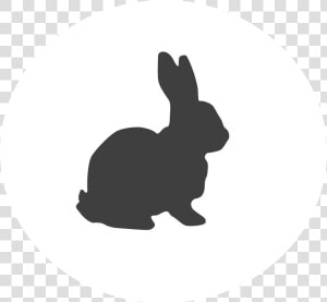 Clip Art Rabbit Silhouette Vector Graphics Portable   Clipart Rabbit Silhouette  HD Png Download