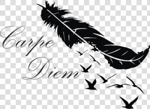 Tatuajes Tumblr Png Pajaros   Carpe Diem  Transparent Png