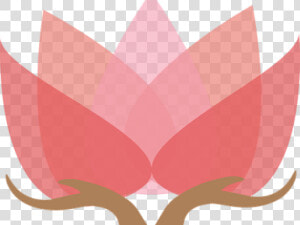 Flor De Loto Png   Png Download   Meditation  Transparent Png