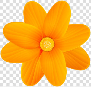 Flower Yellow Clip Art   Orange And Yellow Flowers Png  Transparent Png