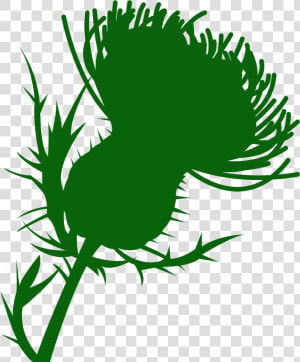 Silhouette Thistle Png  Transparent Png