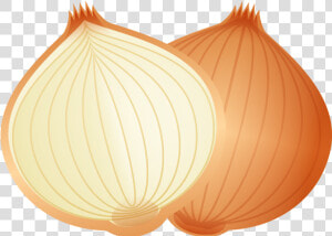 Cartoon Food Onion Png Download   Cartoon Picture Of Onion  Transparent Png