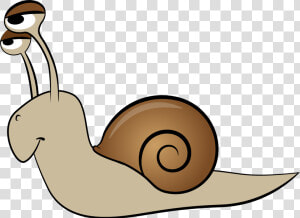 Snail Animation Clip Art   Animals That Crawl Clipart  HD Png Download