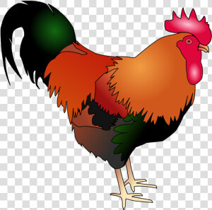 Poultry livestock fowl   Rooster Art Chicken Cartoon  HD Png Download