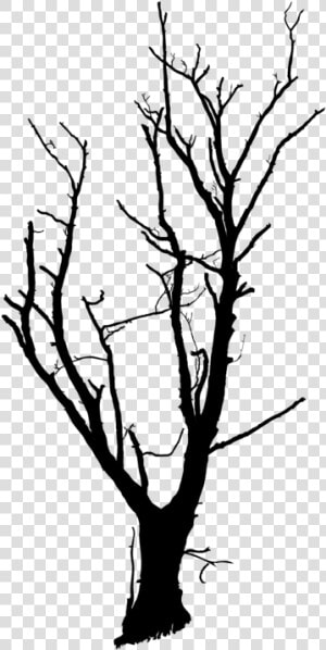 Trunk Tree Branch Snag Drawing Cc0   Png Transparent Dead Trees  Png Download