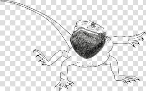 Thick Lines   Bearded Dragon Hot Sauce  HD Png Download