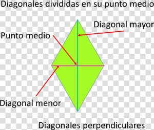 Rombo Diagonales   Diagonales De Un Rombo  HD Png Download