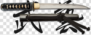 Scabbard  HD Png Download